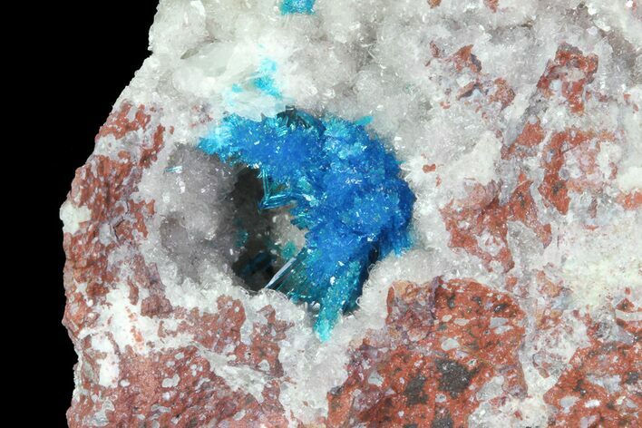 Vibrant Blue Cavansite Clusters on Stilbite - India #67802